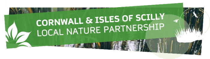 What the Latest Local Nature Partnership Updates Mean for Our&nbsp;Community